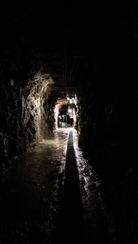 Im Innern der Mauer